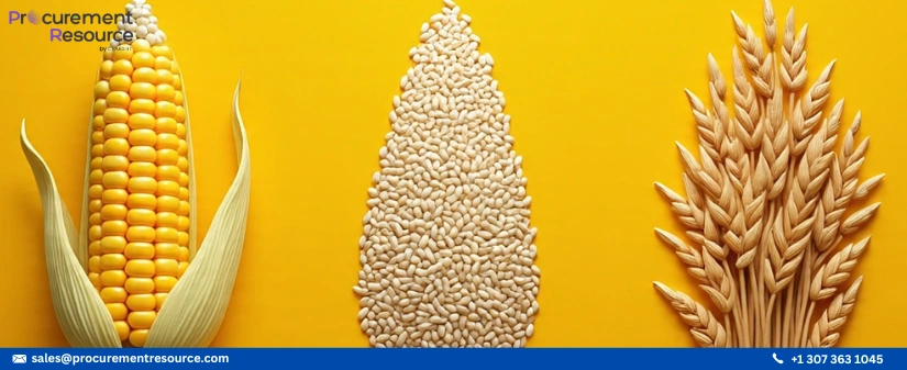 Maize Wheat and Rice See Varied Price Shifts