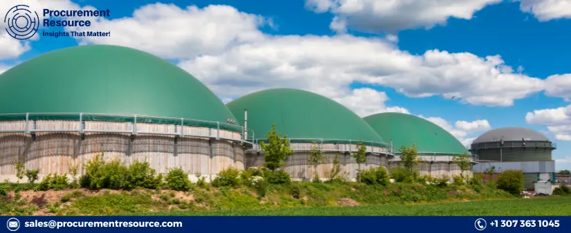 LNG Consumption with Renewable Biogas