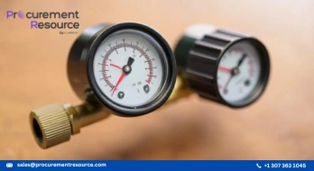 Capable Diaphragm Gas Meter in Europe