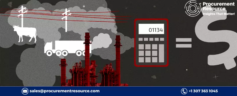 Social Cost of Carbon