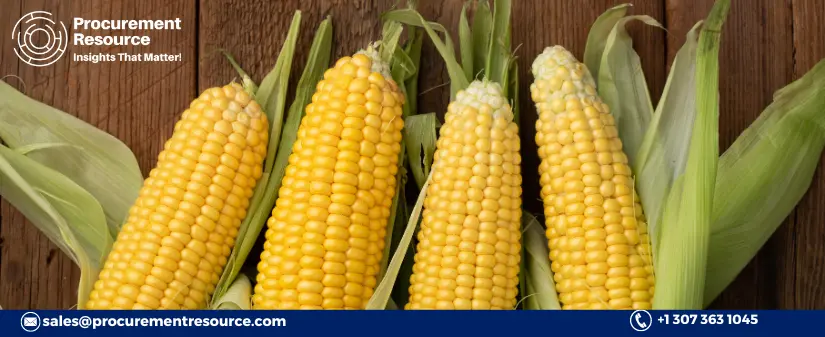 Corn Prices in India